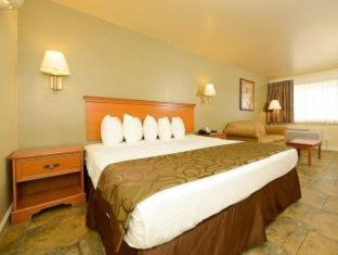 Best Western Padre Island Corpus Christi Habitación foto